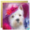 Thumbnail: 50th Birthday Card Westie Dog 'FABULOUS AT FIFTY'