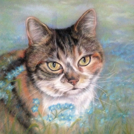 'Sweepy' finally finished and approved