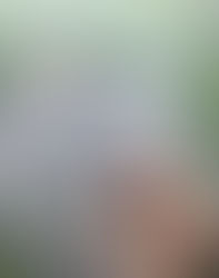 'Flash' the finer details