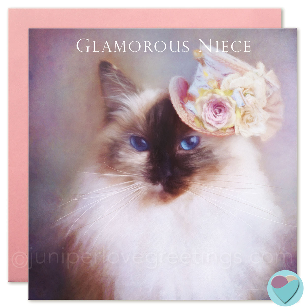 Ragdoll Cat Birthday Card Niece Card 'GLAMOROUS NIECE'