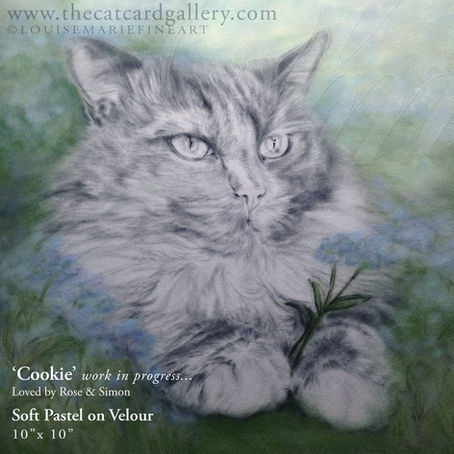 Just past the 'Ugly' stage