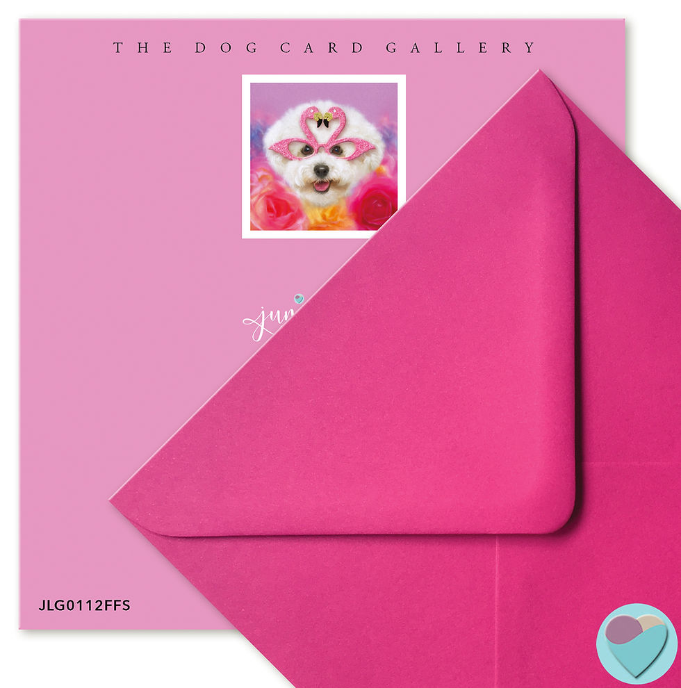 Thumbnail: Sister Birthday Card  'FOR A FABULOUS SISTER'
