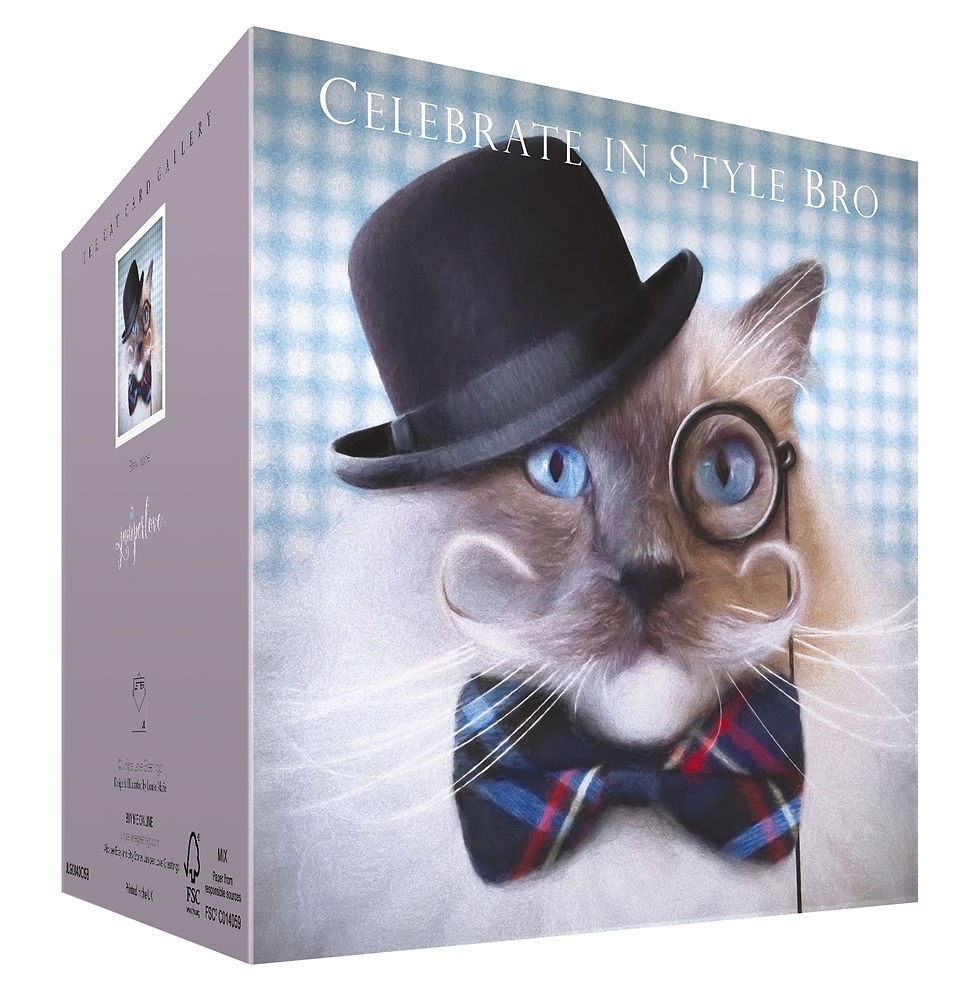 Thumbnail: Ragdoll Cat Brother Card 'CELEBRATE IN STYLE BRO'