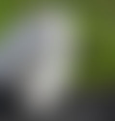 Next on the easel is 'Flash'