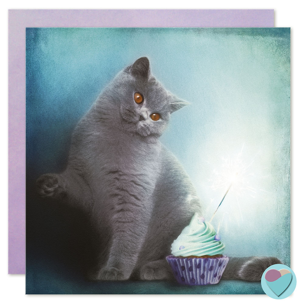 BLANK Cat Card British Blue Shorthair Cat