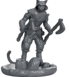 Tabaxi Rogue