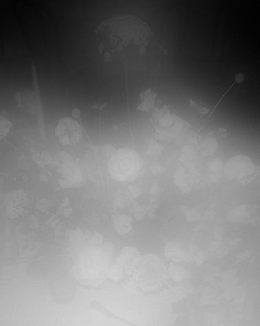 Film-Vizcaya-ColinandLakin-340.jpg