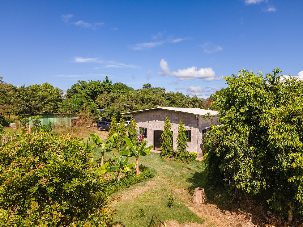 Centro de Formación Tierra Saludable Ameyalli