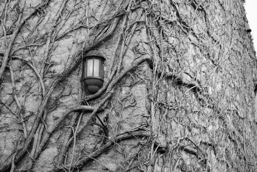 Living Light