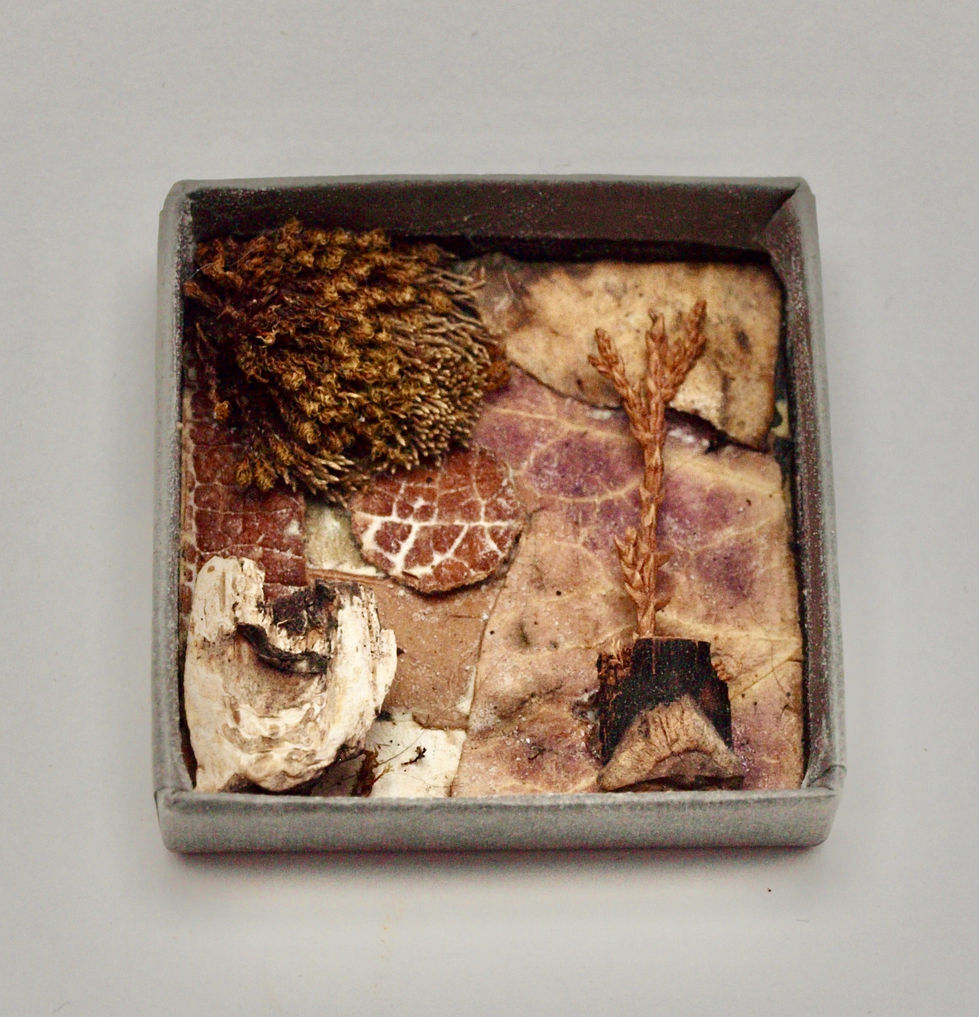 Miniature Nature collage