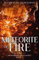 paradoxdreamer ebook (2).jpg