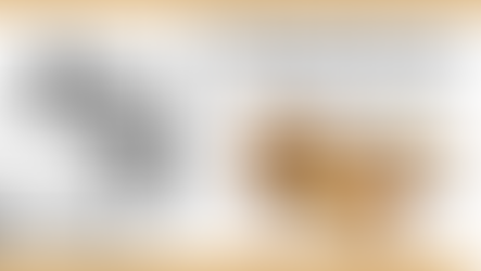 Thanksgiving Recipes