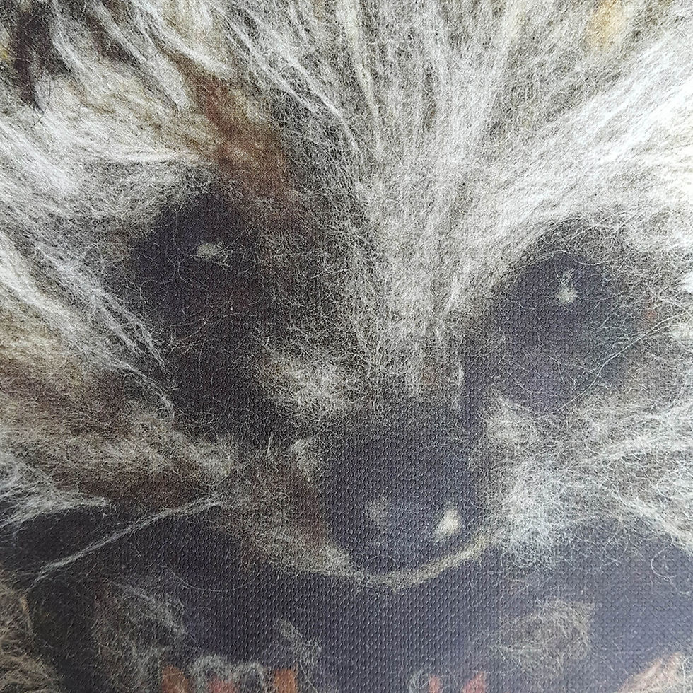 Thumbnail: Hedgehog