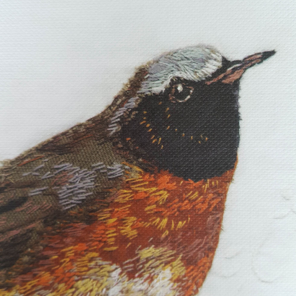 Thumbnail: Redstart