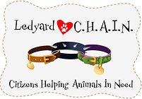 LedyardCHAIN_Logo-003.jpg