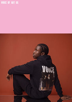 VOICE3.jpg