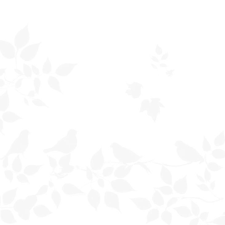 white silhouette of floral leaves with birds on white background.jpg