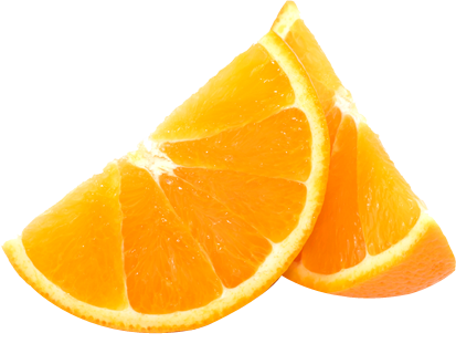 Orange Slices Illustration