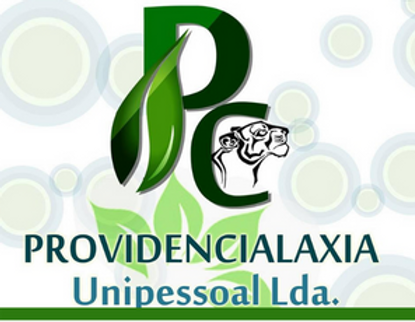 providencialaxia.png