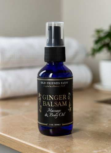 Ginger Balsam Massage and Body Oil - Back in stock! | Old Friends Farm