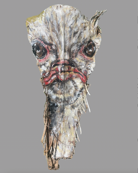 Cranky Ostrich face.png