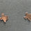 Thumbnail: Texas State Brass Earrings Set .25" each High Polish Come and Take it