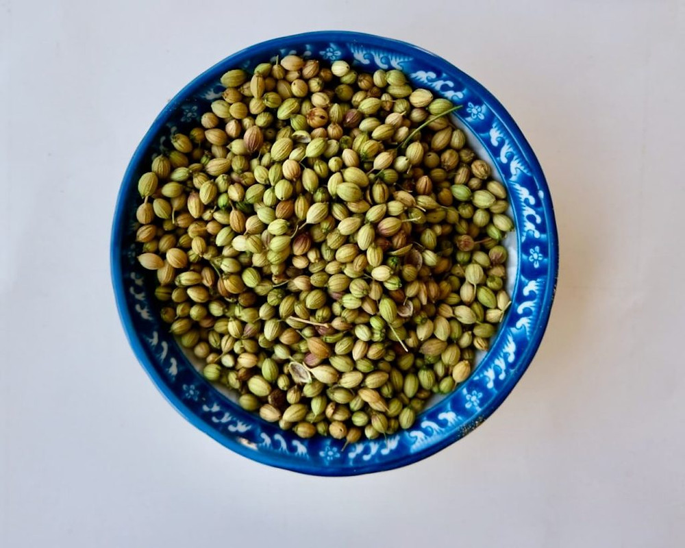 coriander seed -premium quality,natural taste,free from impurities,ready to use