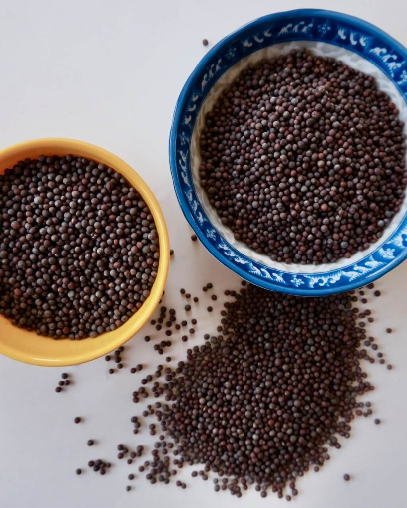 mustard seed -premium quality,natural taste,free from impurities,ready to use