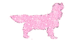 Cavalier-pinks.gif