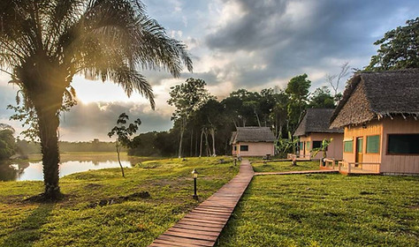 The jungle lodge looks stunning in the morning light