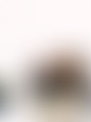 Beyond the Flower Subscription: Embracing the Perennial Lifestyle with Petaled Pail and Co.