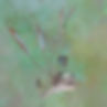 Helen Stuart - Art 1.jpg
