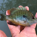 IMG_3507.jpg