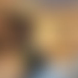 Lit and Flicks Bookstore Tour: Storyline Bookshop