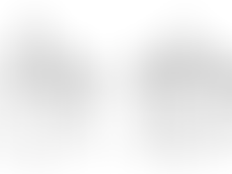 John and Jill Project Managers