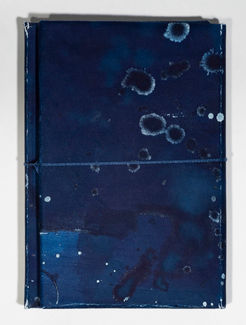cyanotype book-11.jpg