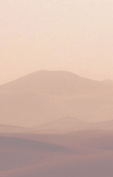 Design ohne Titel (7)_edited_edited_edited.jpg