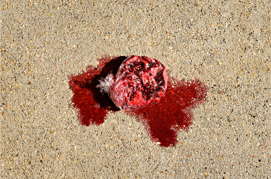 POMEGRANATE FINAL PRINT (1)_edited.jpg