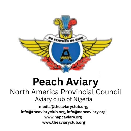 Writer: Peach Aviary Georgia