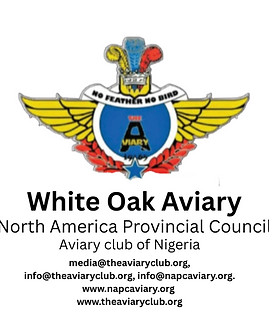 Europa Provincial Council (10).png