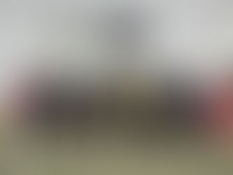 Peach Aviary Georgia: The Foundation of the Aviary Club in North America