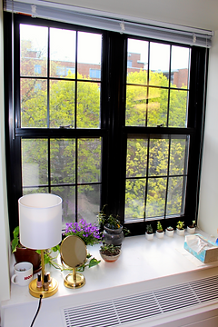 Window.png