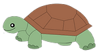willard turtle.png