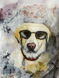 Wes the wonder dog.jpeg