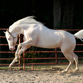 Photo of Stats First Goodbar running