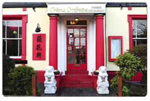 China Orchids in Cullompton