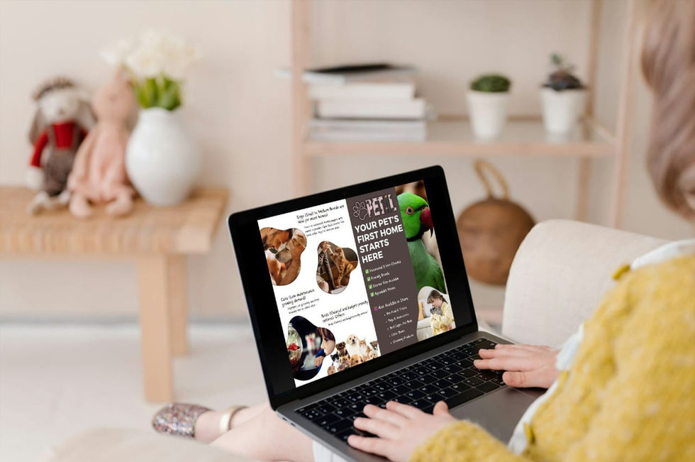Person viewing pet product catalog online