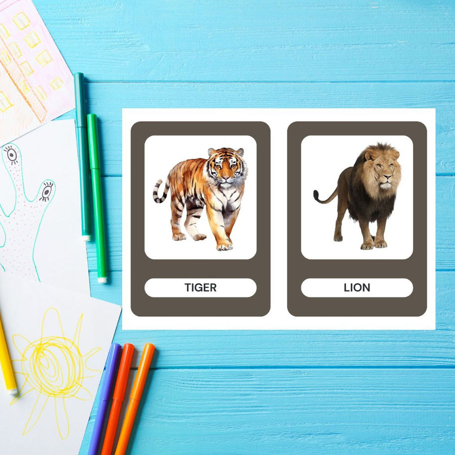 Tiger and lion flash cards