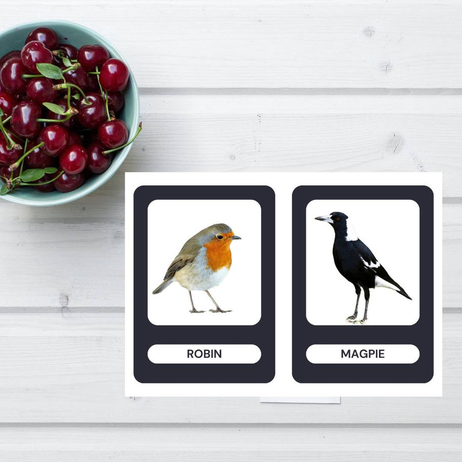 Printable cards showing a robin and magpie
