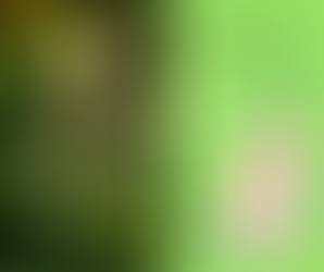 The Romance Genre and Sexual Harassment